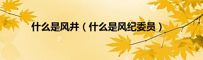 什么是風(fēng)井（什么是風(fēng)紀(jì)委員）