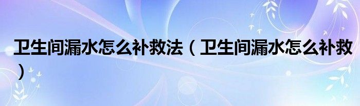 衛(wèi)生間漏水怎么補救法（衛(wèi)生間漏水怎么補救）
