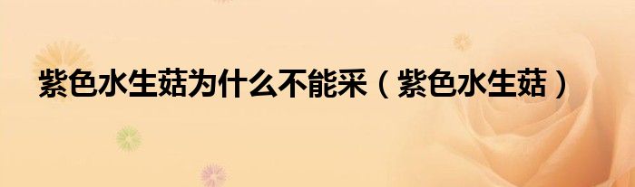紫色水生菇為什么不能采（紫色水生菇）