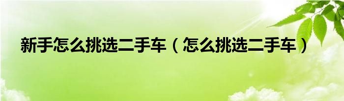 新手怎么挑選二手車（怎么挑選二手車）