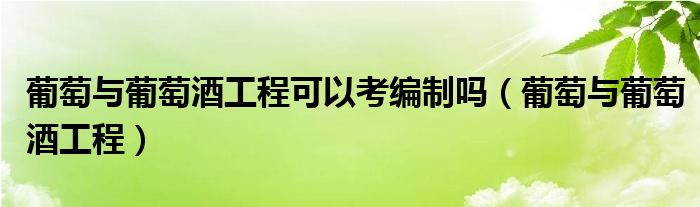 葡萄與葡萄酒工程可以考編制嗎（葡萄與葡萄酒工程）