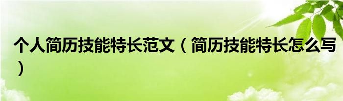 個人簡歷技能特長范文（簡歷技能特長怎么寫）