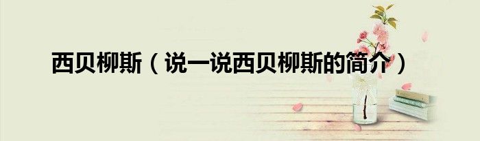 西貝柳斯（說一說西貝柳斯的簡介）