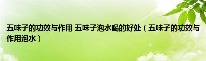 五味子的功效與作用 五味子泡水喝的好處（五味子的功效與作用泡水）