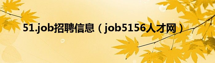 51.job招聘信息（job5156人才網(wǎng)）