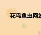 花鳥魚蟲網(wǎng)站（中國花鳥魚蟲網(wǎng)論壇）