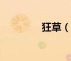 狂草（說一說狂草的簡介）