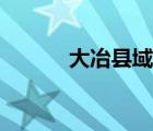 大冶縣域經濟五十強（大冶縣）