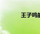 王子鳴的歌曲大全（王子鳴）