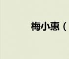梅小惠（說一說梅小惠的簡介）