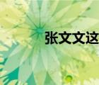 張文文這個(gè)名字如何（張文文）
