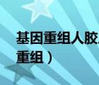 基因重組人膠原蛋白 蘭奈兒是真的嗎（基因重組）