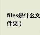 files是什么文件夾可刪除嗎（files是什么文件夾）