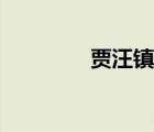 賈汪鎮(zhèn)中心小學(xué)（賈汪鎮(zhèn)）