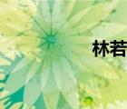 林若惜簡(jiǎn)介（林若惜）