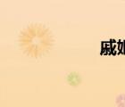 戚姬的兒子（戚姬）