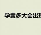 孕囊多大會出現(xiàn)卵黃囊（孕囊多大長胎芽）