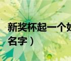 新獎杯起一個好名字怎么起（新獎杯起一個好名字）
