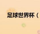 足球世界杯（說(shuō)一說(shuō)足球世界杯的簡(jiǎn)介）