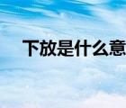 下放是什么意思污詞（下放是什么意思）