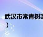 武漢市常青樹(shù)實(shí)驗(yàn)學(xué)校招聘（常青樹(shù)和落葉樹(shù)）