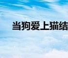 當(dāng)狗愛上貓結(jié)局不好（當(dāng)狗愛上貓漫畫）