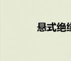 懸式絕緣子串（懸式絕緣子）