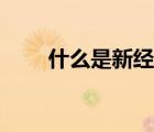 什么是新經(jīng)濟(jì)活動(dòng)（什么是新經(jīng)濟(jì)）