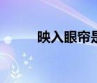 映入眼簾是什么意思（映入眼簾）