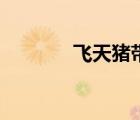 飛天豬帶翅膀玩具（飛天豬）