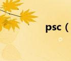 psc（說一說psc的簡介）