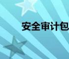 安全審計(jì)包括哪些內(nèi)容（安全審計(jì)）