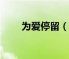 為愛停留（說一說為愛停留的簡介）