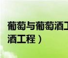 葡萄與葡萄酒工程可以考編制嗎（葡萄與葡萄酒工程）