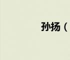 孫揚(yáng)（說(shuō)一說(shuō)孫揚(yáng)的簡(jiǎn)介）