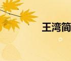 王灣簡(jiǎn)介資料（王灣簡(jiǎn)介）