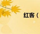 紅客（說一說紅客的簡介）