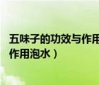 五味子的功效與作用 五味子泡水喝的好處（五味子的功效與作用泡水）