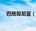 巴塔哥尼亞（說一說巴塔哥尼亞的簡介）