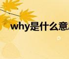 why是什么意思 翻譯（why是什么意思）