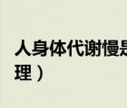 人身體代謝慢是什么原因（人體代謝慢怎么調(diào)理）