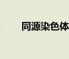 同源染色體交叉互換（同源染色體）
