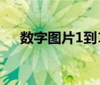 數(shù)字圖片1到10（數(shù)字圖片1到10圖片）