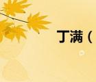 丁滿（說(shuō)一說(shuō)丁滿的簡(jiǎn)介）