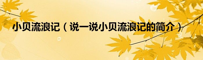 小貝流浪記（說一說小貝流浪記的簡(jiǎn)介）