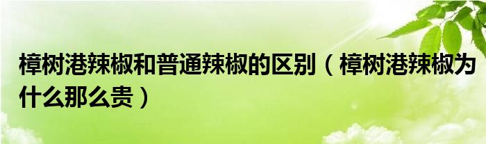 樟樹港辣椒和普通辣椒的區(qū)別（樟樹港辣椒為什么那么貴）
