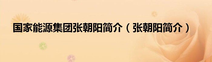 國家能源集團張朝陽簡介（張朝陽簡介）