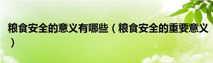 糧食安全的意義有哪些（糧食安全的重要意義）