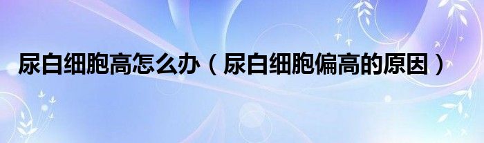 尿白細胞高怎么辦（尿白細胞偏高的原因）
