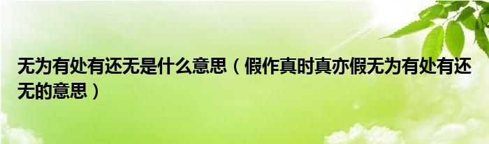 無為有處有還無是什么意思（假作真時真亦假無為有處有還無的意思）